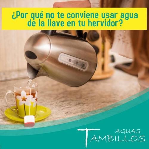 Proyecto nuevo (4)